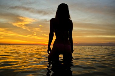 Su günbatımı siluet