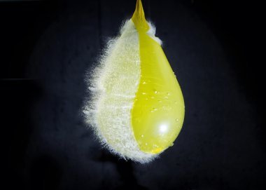 Shot - yüksek hızlı su balon haşhaş