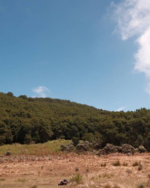 Bereketli yeşil bir dağ, kuru bir çayır ve bulutlu parlak mavi bir gökyüzü içeren huzurlu bir manzara. Seyahat, doğa ya da huzurlu bir geçmiş için idealdir. Açık hava temaları için mükemmel
