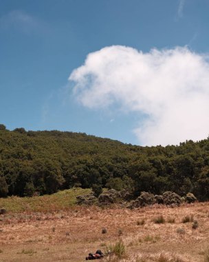 Bu tepe manzarası ile doğanın sükunetini yakalayın. Bereketli orman, uçsuz bucaksız mavi gökyüzünün altında açık bir araziyle buluşur. Seyahat, doğa ya da manzaralı fon projeleri için mükemmel