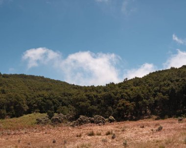Bereketli yeşil bir tepenin mavi gökyüzünün altında bulutlu kahverengi bir çayırla buluştuğu huzurlu bir manzara. Doğa, seyahat ve açık hava temaları için idealdir. Huzuru uyandırır ve barışa ilham verir.
