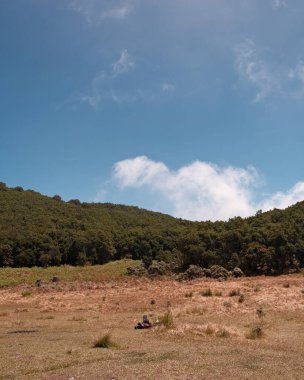 Huzurlu güzelliği yakala. Manzara, uçsuz bucaksız bir tarlanın, bulutlarla benekli mavi bir gökyüzünün altında yemyeşil bir yamaçla buluştuğunu gösteriyor. Doğanın sakinliği, arka planlar, reklamlar ve daha fazlası için mükemmel.