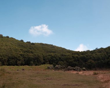Manzaralı bir manzara, tüylü bulutlarla benekli parlak mavi bir gökyüzünün altında yeşil, yemyeşil bir tepe içerir. Huzurlu bir ruh hali, seyahat, doğa ya da açık hava teması için ideal. Manzara görüntüsü