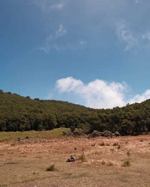 Huzurlu güzelliği yakala. Manzara, uçsuz bucaksız bir tarlanın, bulutlarla benekli mavi bir gökyüzünün altında yemyeşil bir yamaçla buluştuğunu gösteriyor. Doğanın sakinliği, arka planlar, reklamlar ve daha fazlası için mükemmel.