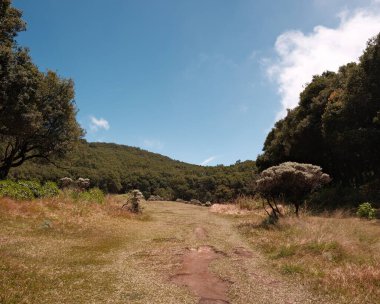 Serin bir çayır yolu, yemyeşil bir arazide savruluyor. Parlak mavi bir gökyüzünün altında, dağınık bulutlarla. Barış, sükunet, açık hava maceraları, yürüyüş ve doğal güzellik temaları için idealdir. Görüntü bir özgürlük ve rahatlama hissi uyandırıyor, Sui.