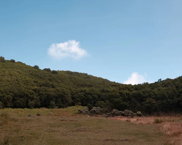 Manzaralı bir manzara, tüylü bulutlarla benekli parlak mavi bir gökyüzünün altında yeşil, yemyeşil bir tepe içerir. Huzurlu bir ruh hali, seyahat, doğa ya da açık hava teması için ideal. Manzara görüntüsü