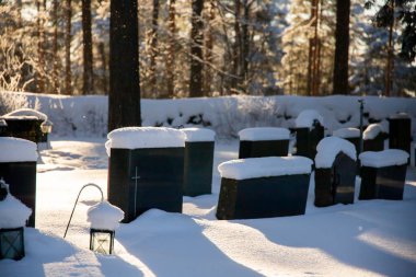 Huzurlu kış manzarası bir orman mezarlığındaki mezar taşları kasvetli bir yansıma ve huzur dolu durgunluğu çağrıştırıyor..