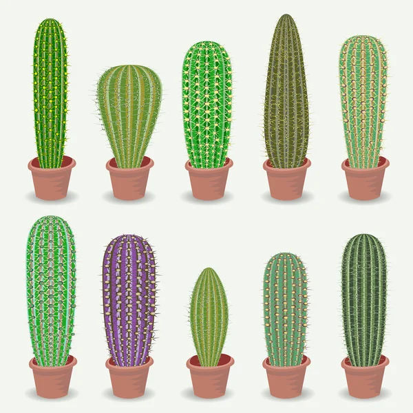 Forskellige typer kaktus – Stock-vektor