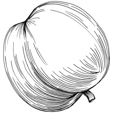 Apple meyve çizim vektörü. İşlenmiş organik gıda. Beyaz arkaplanda siyah beyaz elma ögesi.