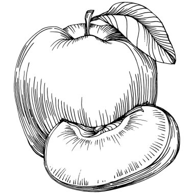 Apple meyve çizim vektörü. İşlenmiş organik gıda. Beyaz arkaplanda siyah beyaz elma ögesi.