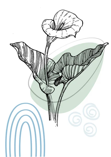 时尚色彩的当代艺术花卉海报 手绘花卉 几何元素 — 图库矢量图片