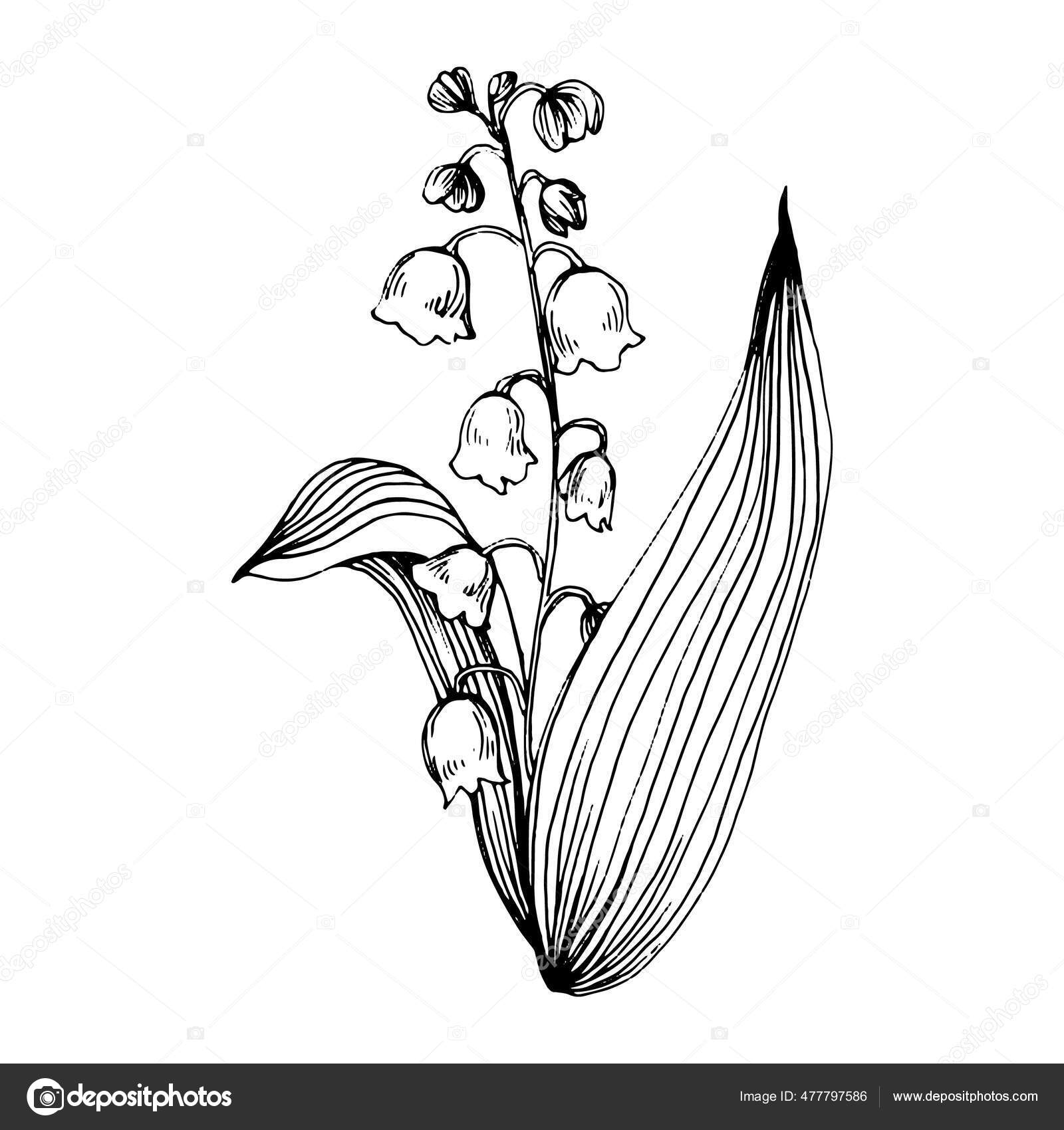 My Image 15