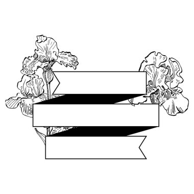 El çizimi irisler çiçek logosu, çerçeve, sınır, tanıtım elementleri. Damga şablonu. Minimalist monogram. Rustik zarif marka veya logottip arkaplan.