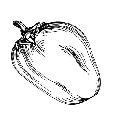 Biber sebzeleri taslak vektör çizimi. İşlemeli stil. Tarım piyasasında ürün. Tasarım menüsü, etiket, rozet, pankart ve tanıtım için en iyi yer. 