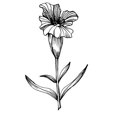 Lavanta botanik çiçeği. Düğün otunun, bitkinin ve davetiye için zarif yapraklı monogramın el yapımı tasarımı randevu kartı tasarımını kaydedin. Kırsal trend yeşillik vektör çizimi