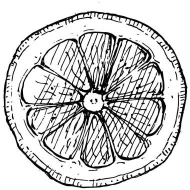 Lemon beyaz arka planda izole edilmiş. Organik yağ oymalı taslak. Güzellik ve kaplıca, kozmetik malzeme. Etiket, poster, broşür, ambalaj için harika