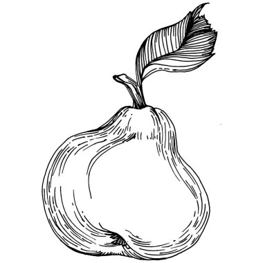 El çizimiyle çizilmiş armut eşkali. Beyaz arkaplanda meyve vektörü.