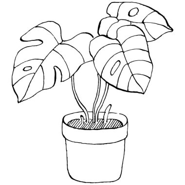 Saksıdaki Ev Bitkisi skeci. İç mekan ya da ofis dekorasyonu için bir asma fabrikada çiçek yetiştirmenin izole bir çizimini yapın. Bahçe çiçeklerinin taşıyıcısı.