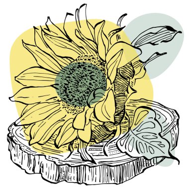 Moda renklerinde ayçiçeği posterlerinin çağdaş sanat çiçekleri. Soyut el çiçekleri, geometrik elementleri ve vuruşları, yaprakları ve çiçekleri çizer. 