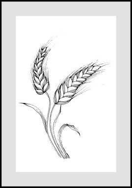 Botanik duvar sanat vektörü. Soyut şekilli minimalist boho yaprak çizimi. Baskı, kapak, duvar kağıdı, asgari ve doğal duvar sanatı için soyut bitki sanatı tasarımı.