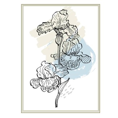 Sosyal medya platformu için arka planlar, hikayeler, soyut şekilli afişler, meyveler, yapraklar. Sosyal ağlarınız, kişisel günlüğünüz ve dükkanınız için görsel tasarım.