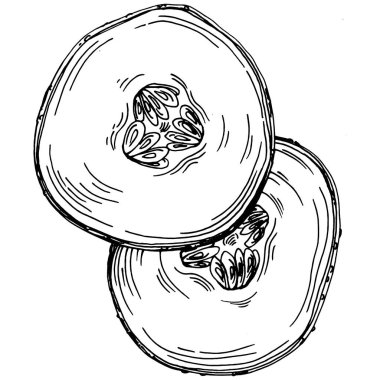 Salatalık sebzeleri taslak vektör çizimi. İşlemeli stil. Tarım piyasasında ürün. Tasarım menüsü, etiket, rozet, pankart ve tanıtım için en iyi yer. 