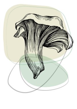 Moda renklerinde çağdaş sanat mantarları posterleri. Soyut el çiçekleri, geometrik elementleri ve vuruşları, yaprakları ve çiçekleri çizer. 