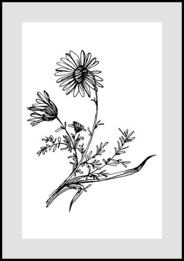 Moda renklerinde çağdaş sanat çiçekli posterler. Soyut el çiçekleri, geometrik elementleri ve vuruşları, yaprakları ve çiçekleri çizer. 