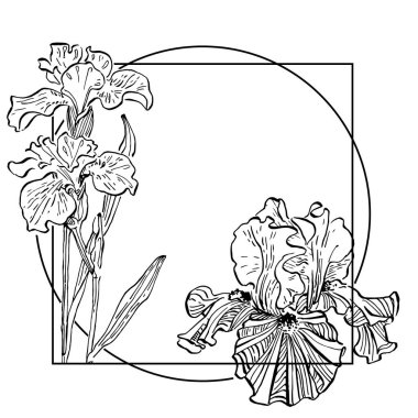 El çizimi iris çiçeği logosu, çerçeve, sınır, promosyon elementi.