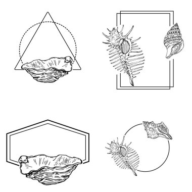El yapımı kabuk logosu, çerçeve, sınır, promosyon elemanı. Damga şablonu. Minimalist monogram. Rustik zarif marka veya logottip arkaplan.