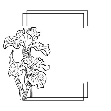 El çizimi irisler çiçek logosu, çerçeve, sınır, tanıtım elementleri. Damga şablonu. Minimalist monogram. Rustik zarif marka veya logottip arkaplan.
