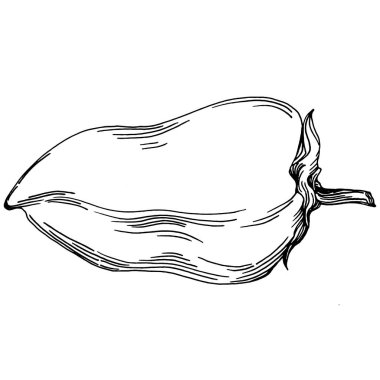 Biber sebzeleri taslak vektör çizimi. İşlemeli stil. Tarım piyasasında ürün. Tasarım menüsü, etiket, rozet, pankart ve tanıtım için en iyi yer. 