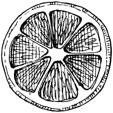 Lemon beyaz arka planda izole edilmiş. Organik yağ oymalı taslak. Güzellik ve kaplıca, kozmetik malzeme. Etiket, poster, broşür, ambalaj için harika