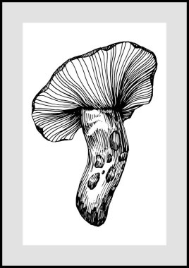 Abstract exotic mushroom, natural poster on white background