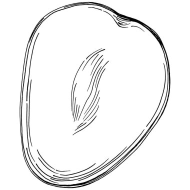 Mango tropikal meyve çizim vektörü. İşlenmiş organik gıda. Beyaz arkaplanda siyah beyaz mango ögesi.