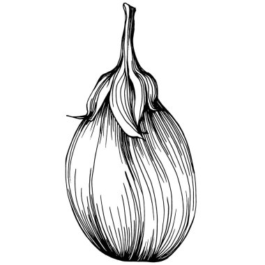 El yapımı patlıcan çizimi. Patlıcan sebze oymalı. Brinjal Sketch vejetaryen yemek çizimi. Gine kabağı tarım pazarı ürünü. Tasarım logosu, menü, etiket, simge için en iyisi.
