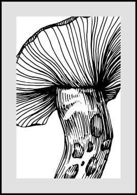 Abstract exotic mushroom, natural poster on white background