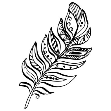 Kanattan kuş tüyü izole edilmiş. İzole illüstrasyon elementi. Arkaplan, doku, ambalaj deseni, çerçeve veya kenar için vektör tüyü.