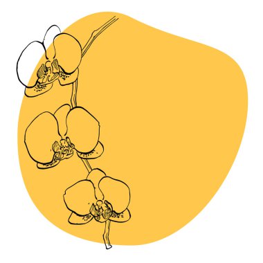 Tropik orkide çiçeği. Çiçekli botanik çiçeği. İzole illüstrasyon elementi. Arkaplan, doku, ambalaj deseni, çerçeve veya kenar için vektör yaban çiçeği.