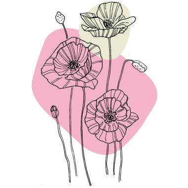 Modern sanat gelinciklerinin moda renkli posterleri. Soyut el çiçekleri, geometrik elementleri ve dokunuşları, yaprakları ve çiçekleri çiziyor. Sosyal medya için modern tasarım, davetiye, kartpostallar, duvar sanatı için baskı.