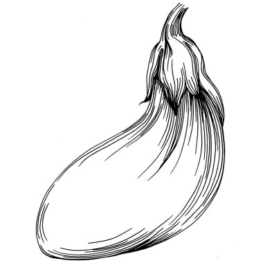 El yapımı patlıcan çizimi. Patlıcan sebze oymalı. Brinjal Sketch vejetaryen yemek çizimi. Gine kabağı tarım pazarı ürünü. Tasarım logosu, menü, etiket, simge için en iyisi.