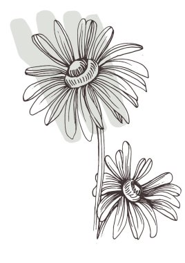 Moda renklerinde çağdaş sanat çiçekli posterler. Soyut el çiçekleri, geometrik elementleri ve vuruşları, yaprakları ve çiçekleri çizer. 