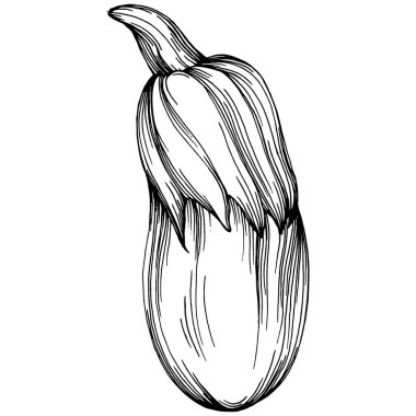 El yapımı patlıcan çizimi. Patlıcan sebze oymalı. Brinjal Sketch vejetaryen yemek çizimi. Gine kabağı tarım pazarı ürünü. Tasarım logosu, menü, etiket, simge için en iyisi.