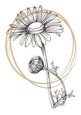 Moda renklerinde çağdaş sanat çiçekli posterler. Soyut el çiçekleri, geometrik elementleri ve vuruşları, yaprakları ve çiçekleri çizer. 