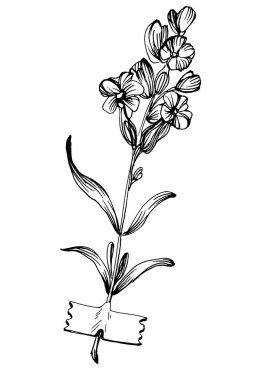 Moda renklerinde çağdaş sanat lavantası çiçek posterleri. Soyut el çiçekleri, geometrik elementleri ve vuruşları, yaprakları ve çiçekleri çizer. 