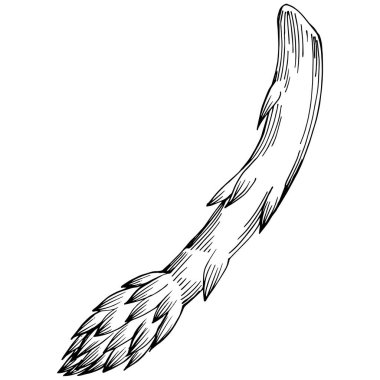 Kuşkonmaz elle çizilmiş. Sebze oymalı nesne. Menü, etiket, simge, kapak, sosyal gönderi için harika.