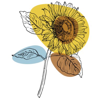 Moda renklerinde çağdaş sanat ayçiçeği posterleri. Soyut el çiçekleri, geometrik elementleri ve vuruşları, yaprakları ve çiçekleri çizer. 