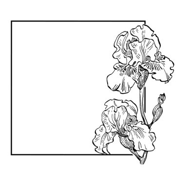 El çizimi iris çiçeği logosu, çerçeve, sınır, promosyon elementi.