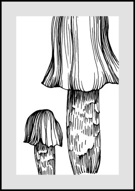 Abstract exotic mushrooms, natural poster on white background