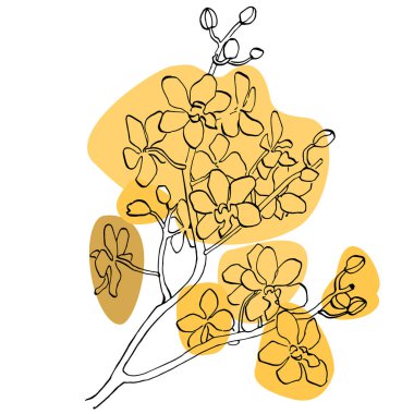 Tropik orkide çiçeği. Çiçekli botanik çiçeği. İzole illüstrasyon elementi. Arkaplan, doku, ambalaj deseni, çerçeve veya kenar için vektör yaban çiçeği.